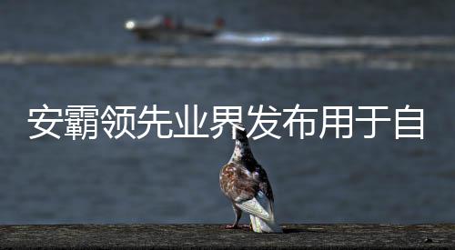 安霸領先業界發布用于自動駕駛的集中式4D成像毫米波雷達架構
