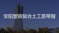安陽塑鋼復合土工筋帶指標