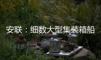 安聯：細數大型集裝箱船舶的“五宗罪”！