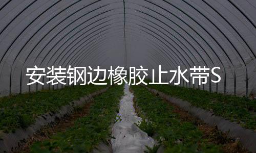 安裝鋼邊橡膠止水帶S