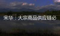 宋華：大宗商品供應鏈必須轉型
