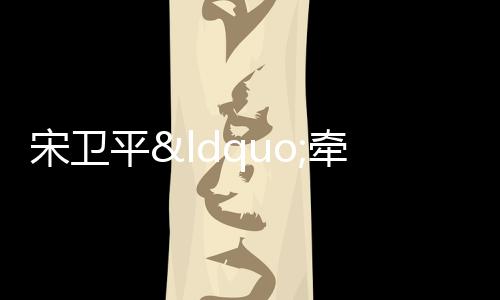 宋衛(wèi)平“牽手”康佳