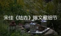 宋佳《陸垚》曝文章細節控 時髦變裝獲觀眾稱贊
