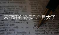 宋亞軒的鼠標(biāo)幾個(gè)月大了 他時(shí)常會(huì)與大家分享寵物的日常