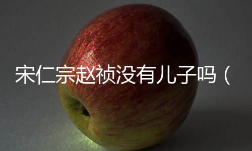 宋仁宗趙禎沒有兒子嗎（宋仁宗趙禎為何無子）