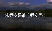 宋喬安是誰（喬安熙）