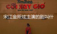 宋江金所炫主演的劇叫什么