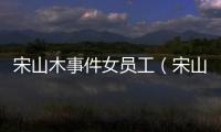宋山木事件女員工（宋山木事件）