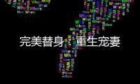 完美替身：重生寵妻