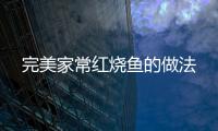 完美家常紅燒魚的做法