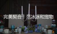 完美契合！范冰冰和寵物貓自拍 畫面有點喜感