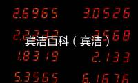 賓潔百科（賓潔）