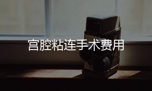 宮腔粘連手術(shù)費用