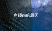 宮頸癌的原因