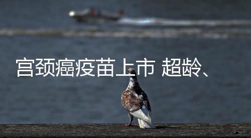 宮頸癌疫苗上市 超齡、男女也能接種