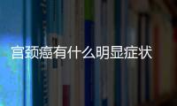 宮頸癌有什么明顯癥狀 宮頸癌有什么危害