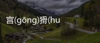 宮(ɡōnɡ)猾(huá)背后的邏輯是什么?