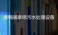 宰鴨屠宰場(chǎng)污水處理設(shè)備