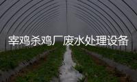 宰雞殺雞廠廢水處理設備