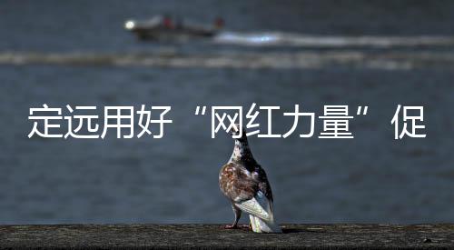 定遠用好“網紅力量”促進鄉村振興_