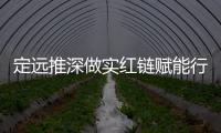 定遠(yuǎn)推深做實(shí)紅鏈賦能行動(dòng)_