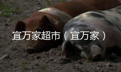宜萬家超市（宜萬家）