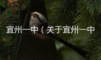 宜州一中（關(guān)于宜州一中的基本情況說明介紹）