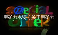 寶礦力水特（關于寶礦力水特的基本情況說明介紹）