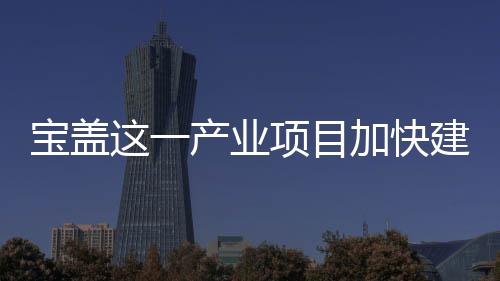 寶蓋這一產(chǎn)業(yè)項目加快建設(shè)