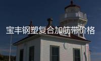 寶豐鋼塑復合加筋帶價格