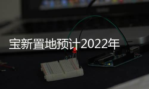 寶新置地預(yù)計2022年營業(yè)額約16億港元