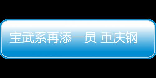 寶武系再添一員 重慶鋼鐵正式易主中國寶武