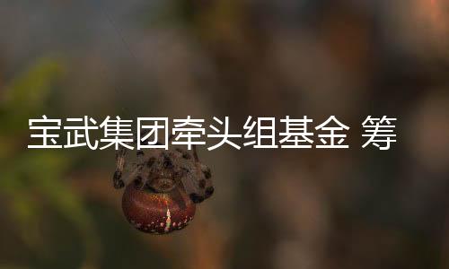 寶武集團牽頭組基金 籌謀1000億元開發(fā)全球最大鐵礦