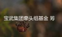 寶武集團牽頭組基金 籌謀1000億元開發全球最大鐵礦