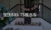 寶沃BX6 TS概念車發(fā)布 緊湊級Coupe SUV