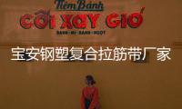 寶安鋼塑復合拉筋帶廠家采購供應