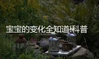 寶寶的變化全知道!科普囊胚移植后著床的整個(gè)過(guò)程