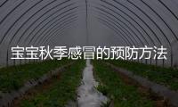 寶寶秋季感冒的預(yù)防方法和技巧