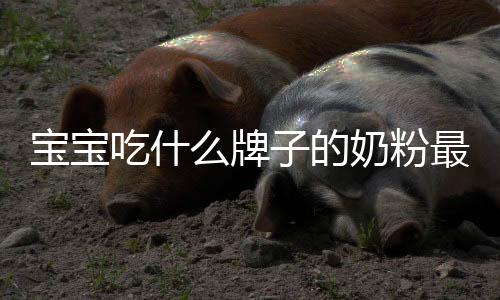 寶寶吃什么牌子的奶粉最好？乳橋蛋白LPN奶粉幫助寶寶健康成長