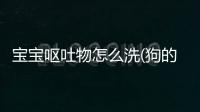 寶寶嘔吐物怎么洗(狗的嘔吐物怎么處理)