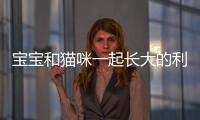 寶寶和貓咪一起長大的利弊(從小一起長大的貓咪會打架嗎)