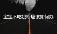 寶寶不吃奶粉應該如何辦