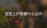 寶寶上戶需要什么證件