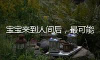 寶寶來到人間后，最可能出現在大腦的十一件事，父母可能不知道