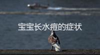 寶寶長水痘的癥狀