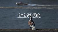 寶寶說話晚