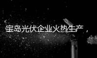 寶島光伏企業火熱生產，專業人才緊缺,行業資訊