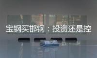 寶鋼買邯鋼：投資還是控股？