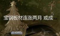 寶鋼板材連漲兩月 或成國內鋼市風向標