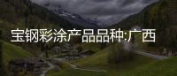 寶鋼彩涂產品品種:廣西寶鋼彩涂板